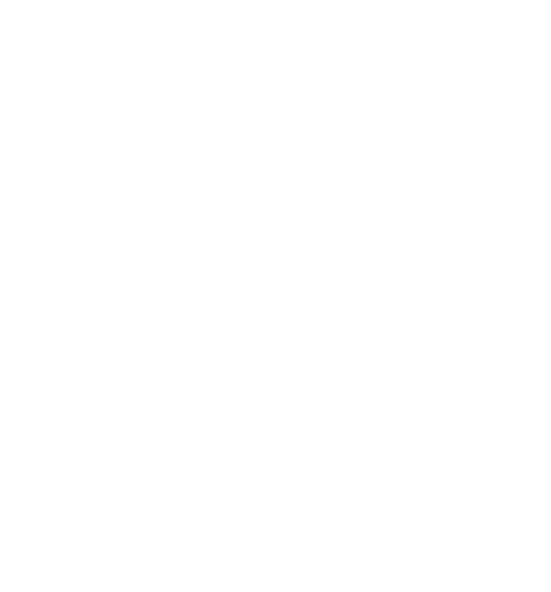 LOI BAO TRADE SERVICES CO., LTD